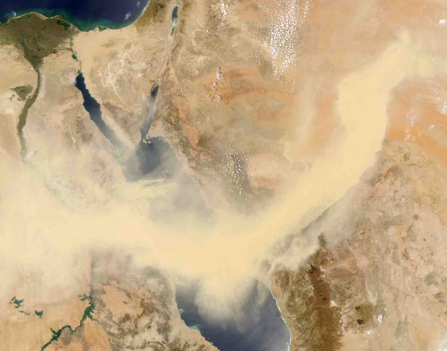 The word of Hashem is against you, Canaan land of the Philistines, and ...