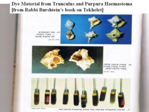 molluscblood