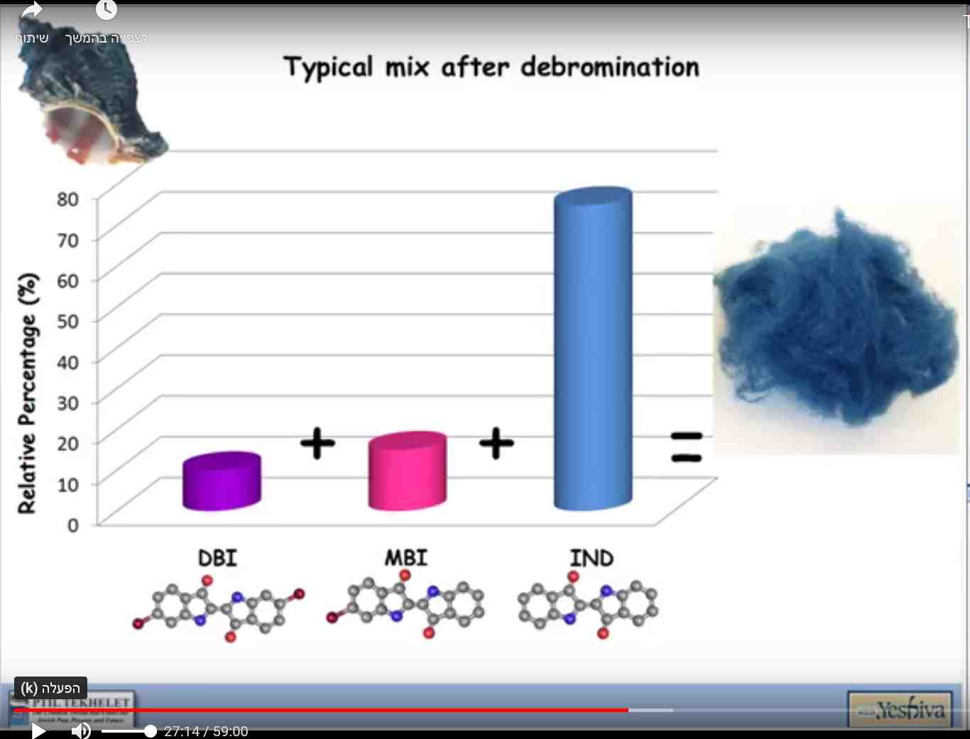 Dye-producing-blue-wool